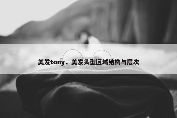 美发tony，美发头型区域结构与层次