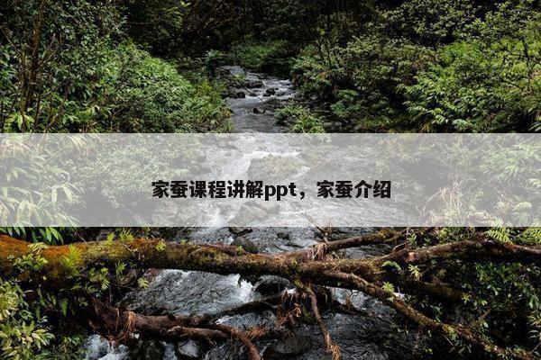 家蚕课程讲解ppt，家蚕介绍