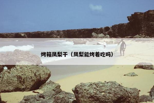 烤箱凤梨干（凤梨能烤着吃吗）
