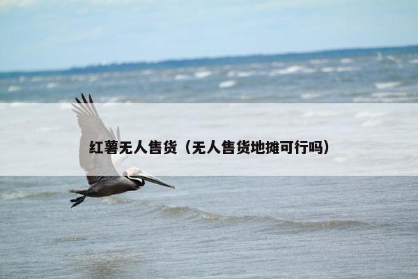 红薯无人售货（无人售货地摊可行吗）
