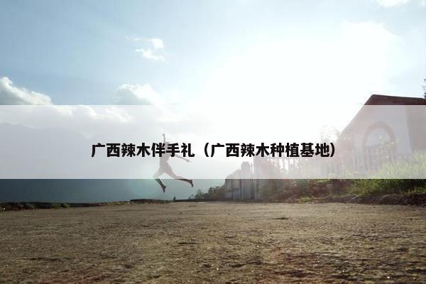 广西辣木伴手礼（广西辣木种植基地）