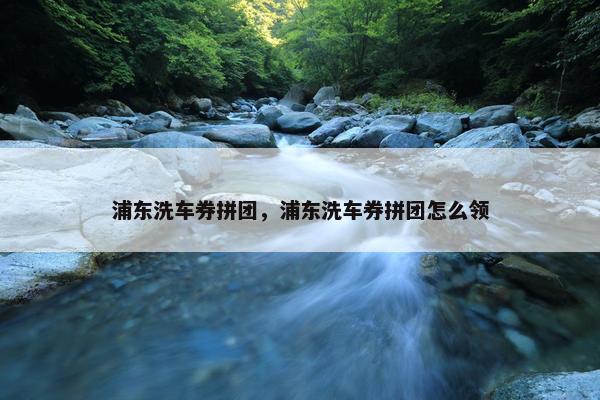 浦东洗车券拼团，浦东洗车券拼团怎么领