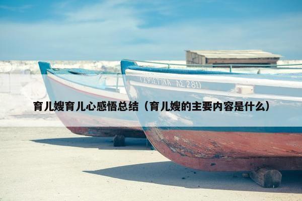 育儿嫂育儿心感悟总结（育儿嫂的主要内容是什么）