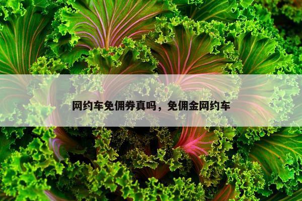网约车免佣券真吗，免佣金网约车