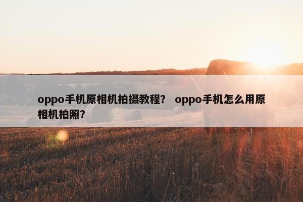 oppo手机原相机拍摄教程？ oppo手机怎么用原相机拍照？