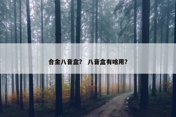 合金八音盒？ 八音盒有啥用？