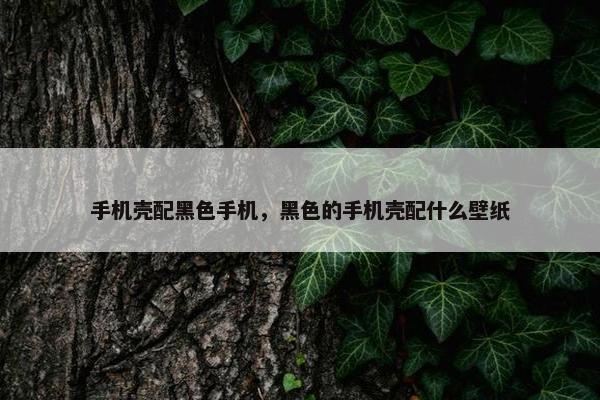 手机壳配黑色手机，黑色的手机壳配什么壁纸