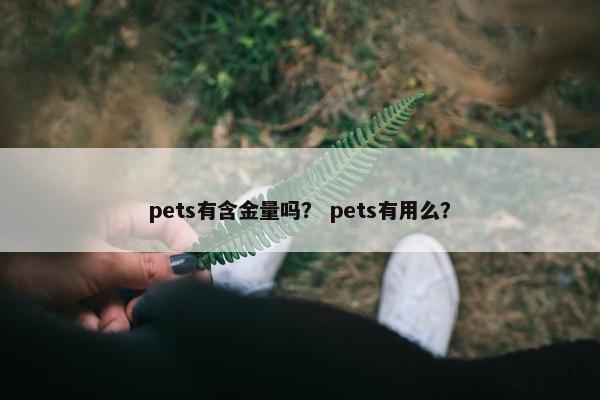 pets有含金量吗？ pets有用么？