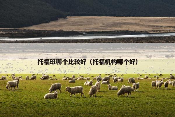 托福班哪个比较好（托福机构哪个好）