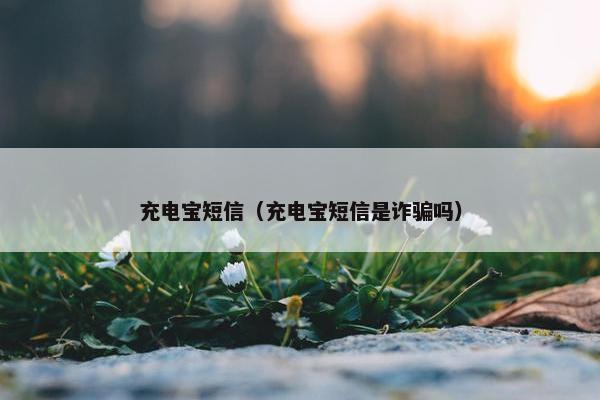 充电宝短信（充电宝短信是诈骗吗）