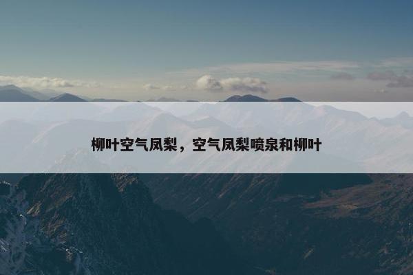 柳叶空气凤梨，空气凤梨喷泉和柳叶