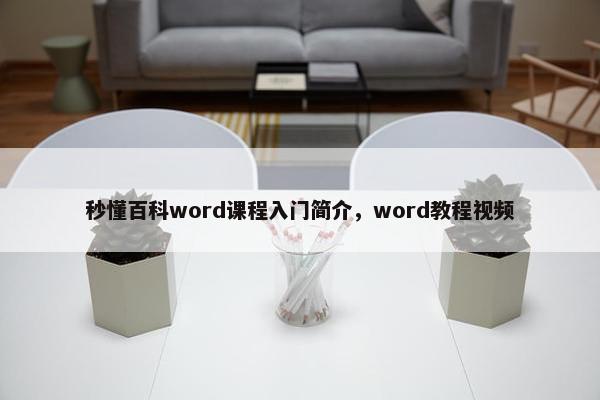 秒懂百科word课程入门简介，word教程视频