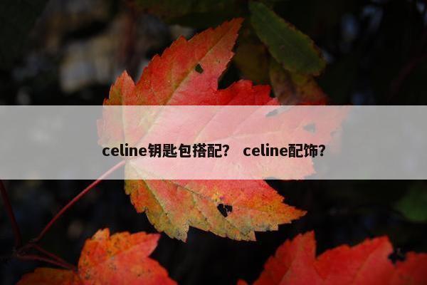 celine钥匙包搭配？ celine配饰？