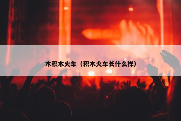 木积木火车（积木火车长什么样）