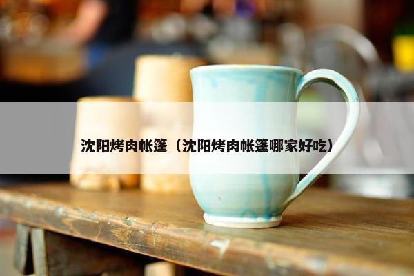 沈阳烤肉帐篷（沈阳烤肉帐篷哪家好吃）