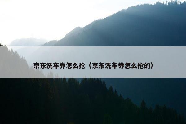京东洗车券怎么抢（京东洗车券怎么抢的）