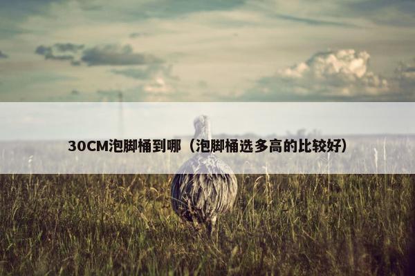30CM泡脚桶到哪（泡脚桶选多高的比较好）