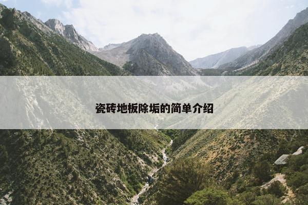 瓷砖地板除垢的简单介绍