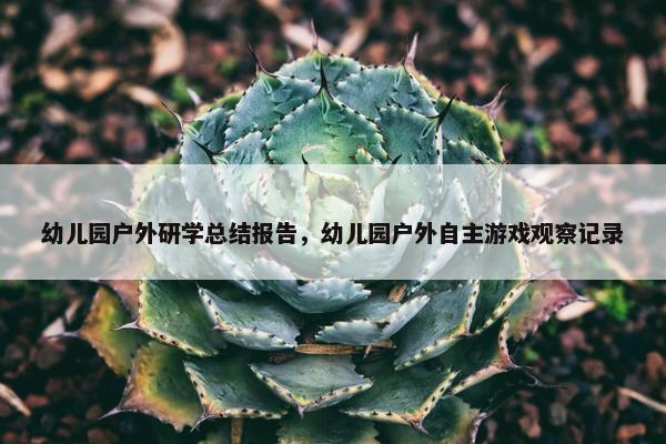 幼儿园户外研学总结报告，幼儿园户外自主游戏观察记录