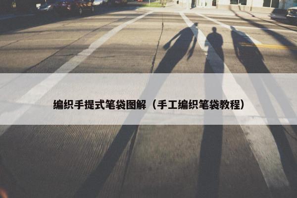编织手提式笔袋图解（手工编织笔袋教程）