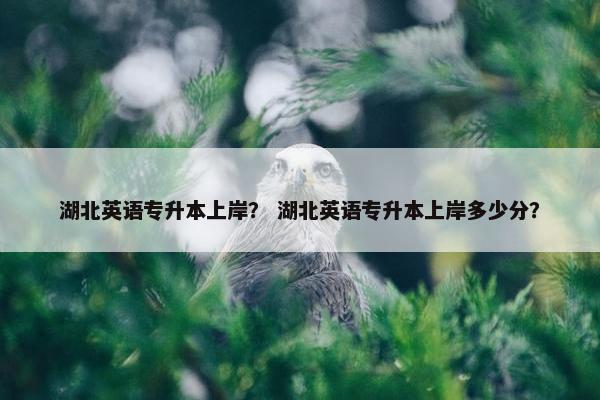 湖北英语专升本上岸？ 湖北英语专升本上岸多少分？