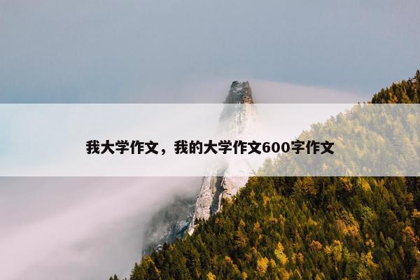 我大学作文，我的大学作文600字作文