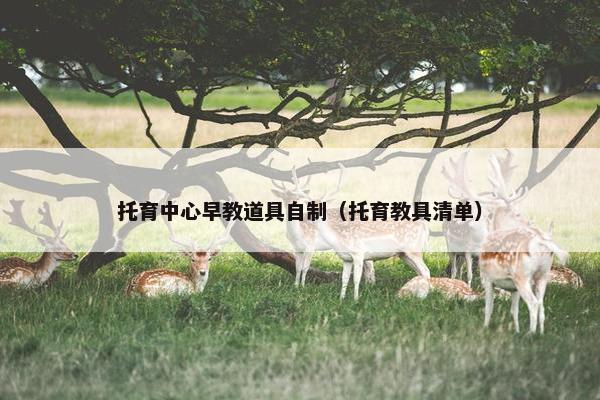 托育中心早教道具自制（托育教具清单）