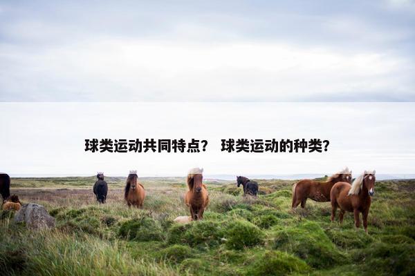 球类运动共同特点？ 球类运动的种类？