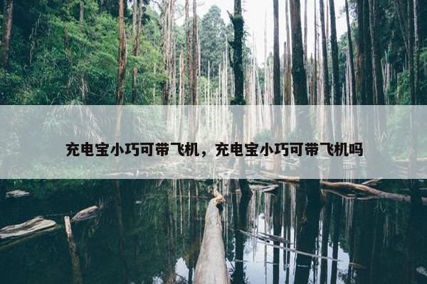 充电宝小巧可带飞机，充电宝小巧可带飞机吗