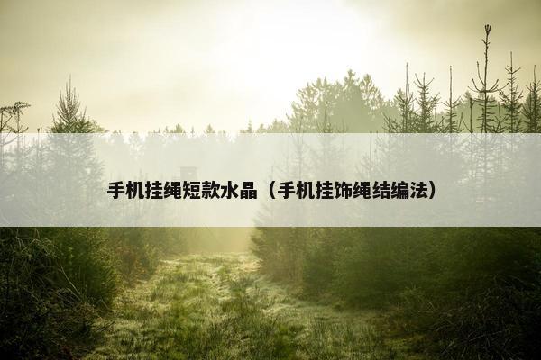 手机挂绳短款水晶（手机挂饰绳结编法）