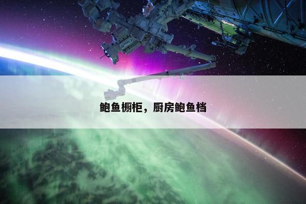 鲍鱼橱柜，厨房鲍鱼档