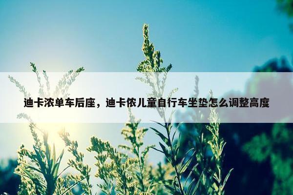 迪卡浓单车后座，迪卡侬儿童自行车坐垫怎么调整高度