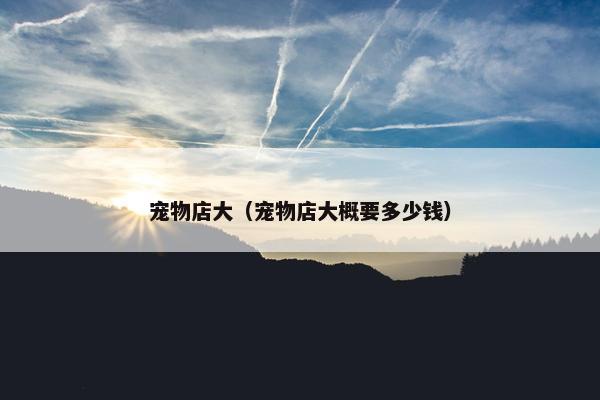 宠物店大（宠物店大概要多少钱）