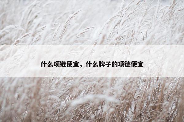 什么项链便宜，什么牌子的项链便宜