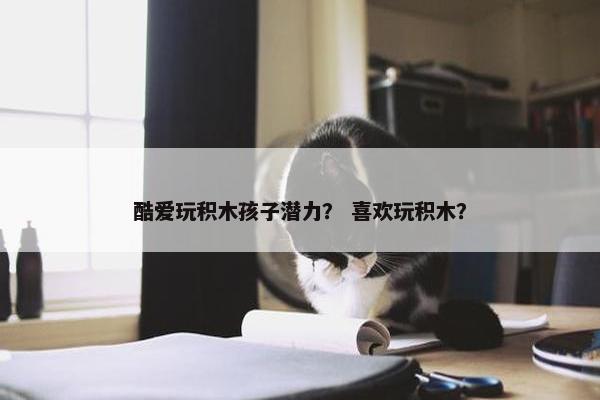酷爱玩积木孩子潜力？ 喜欢玩积木？