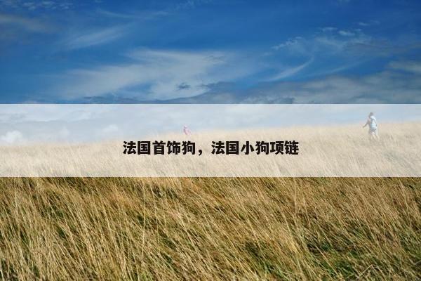 法国首饰狗，法国小狗项链