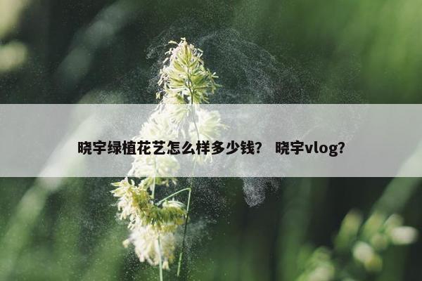 晓宇绿植花艺怎么样多少钱？ 晓宇vlog？