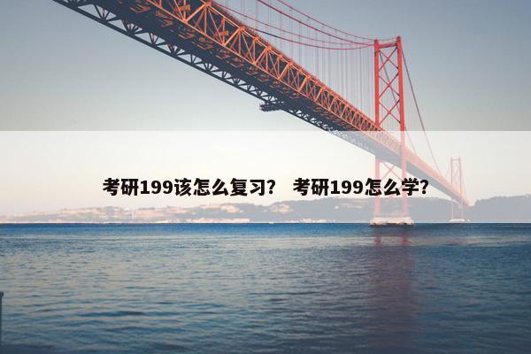 考研199该怎么复习？ 考研199怎么学？