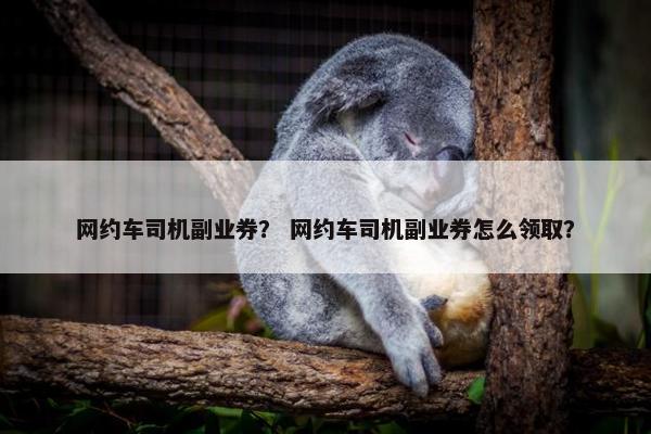 网约车司机副业券？ 网约车司机副业券怎么领取？