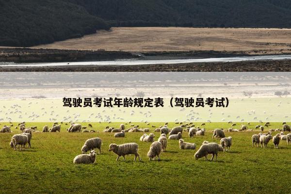 驾驶员考试年龄规定表（驾驶员考试）