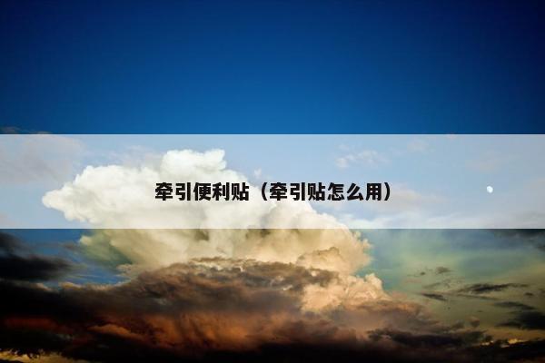 牵引便利贴（牵引贴怎么用）
