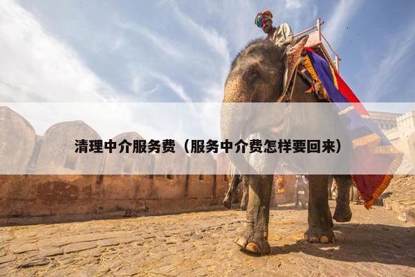清理中介服务费（服务中介费怎样要回来）