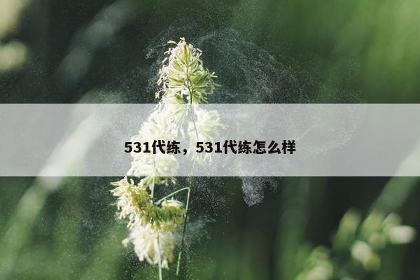 531代练，531代练怎么样