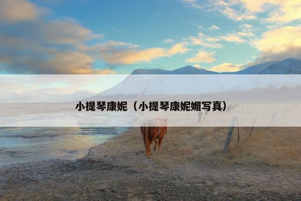 小提琴康妮（小提琴康妮媚写真）