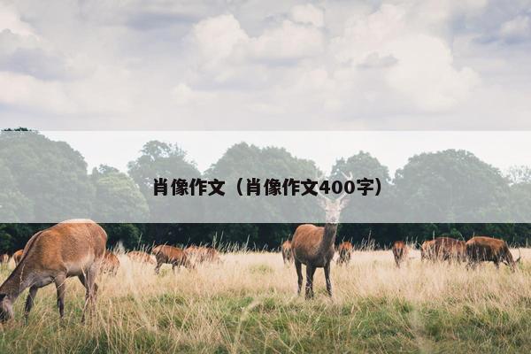 肖像作文（肖像作文400字）