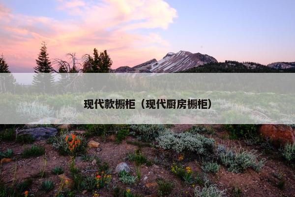 现代款橱柜（现代厨房橱柜）
