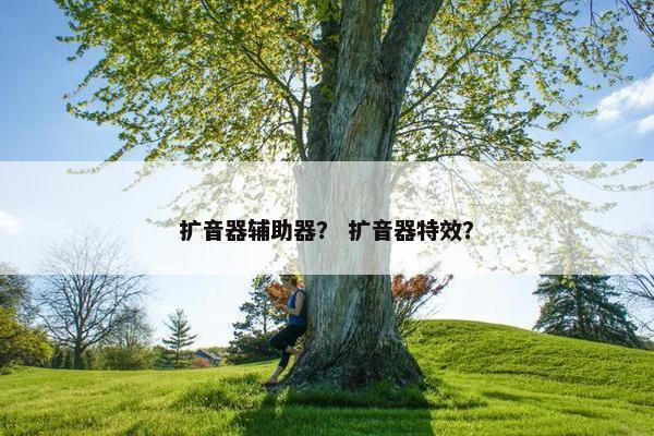 扩音器辅助器？ 扩音器特效？