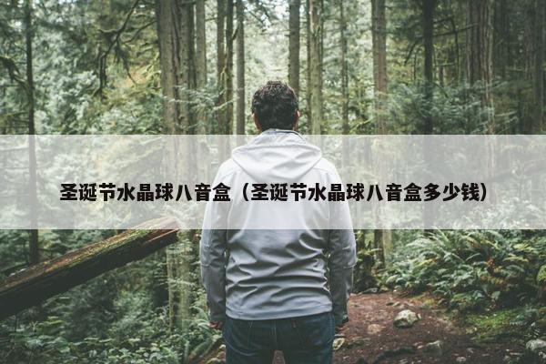 圣诞节水晶球八音盒（圣诞节水晶球八音盒多少钱）
