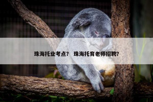 珠海托业考点？ 珠海托育老师招聘？