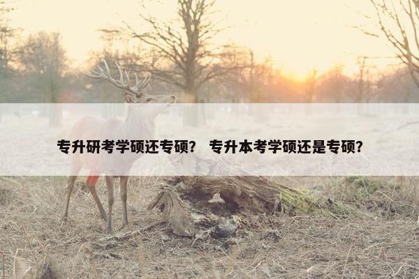 专升研考学硕还专硕？ 专升本考学硕还是专硕？